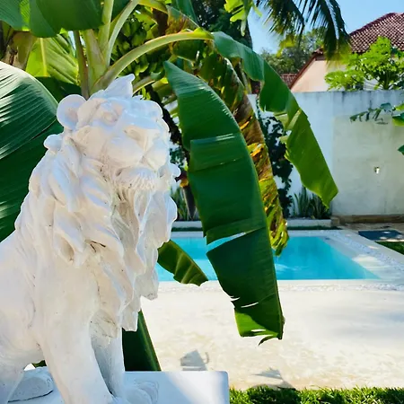 Luxury Lions Villas Zanzibar - With Private Cook&Infinity Pools